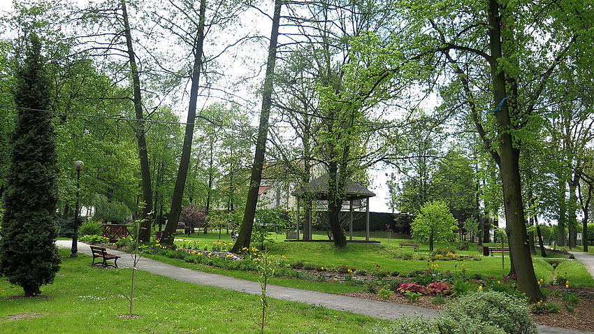 Powiększ: 